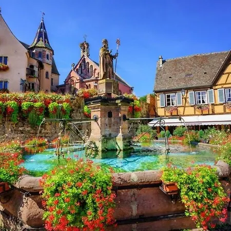 Colmar Des Cotonnades *